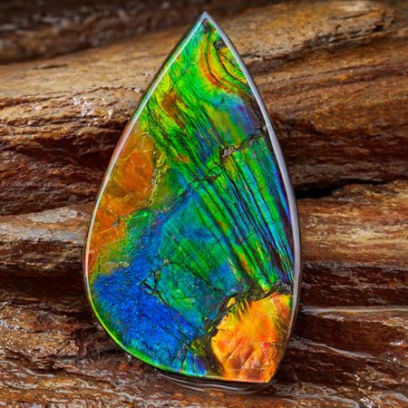 Ammolite investment mini 1