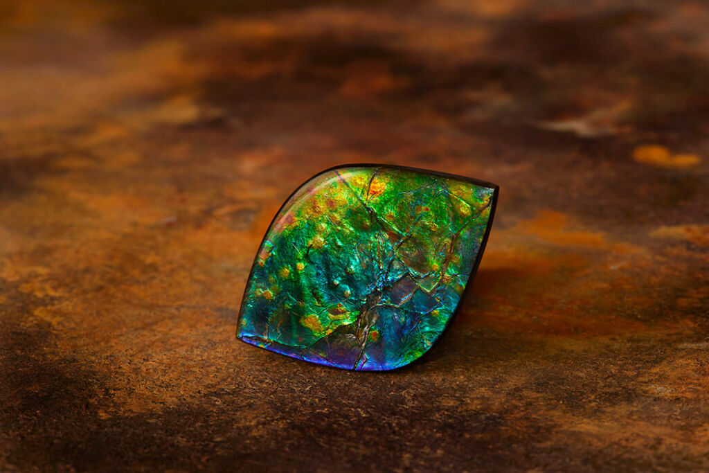 Ammolite