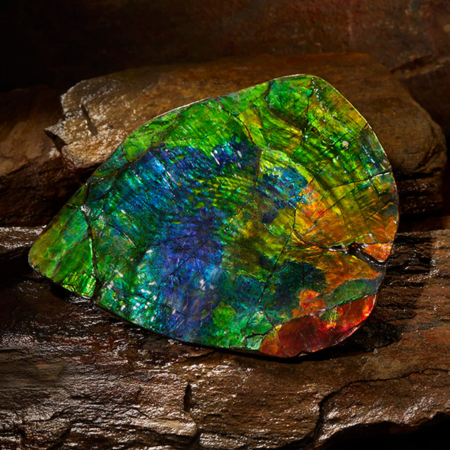 Ammolite Gemstones for sale