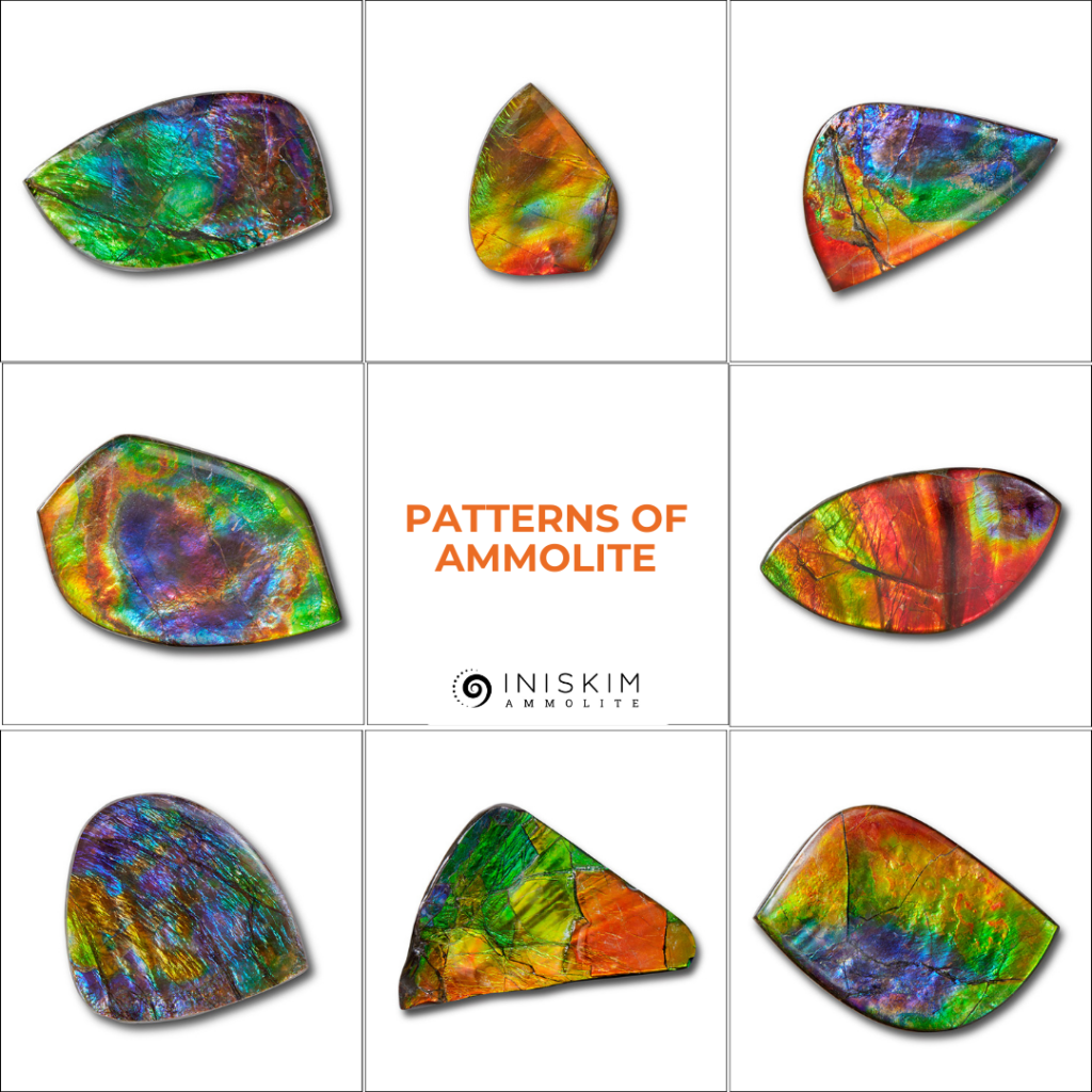 Different types of ammolite 1024x1024