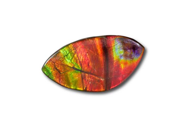 Canadian Ammolite Gemstone 510295