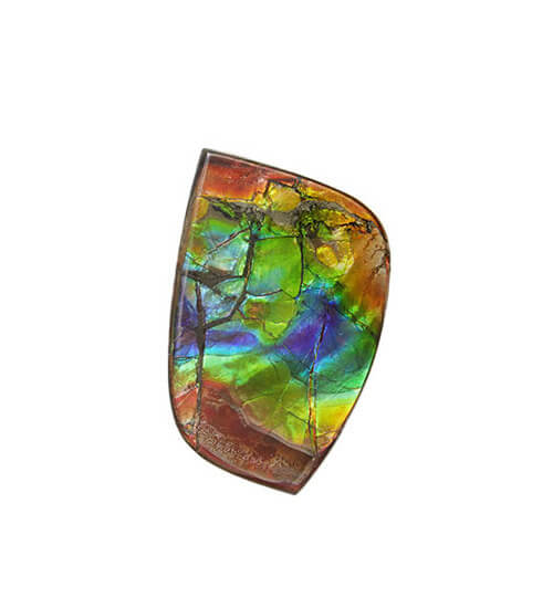 Canadian Ammolite Gemstone 510318