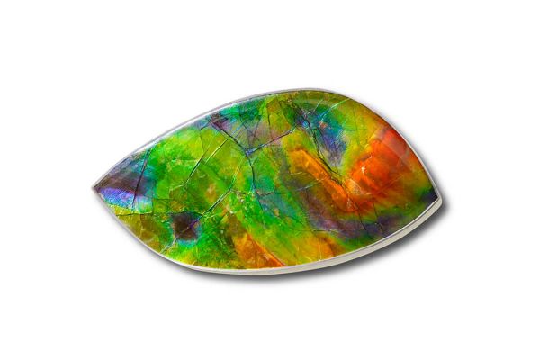 Canadian Ammolite Gemstone 510325
