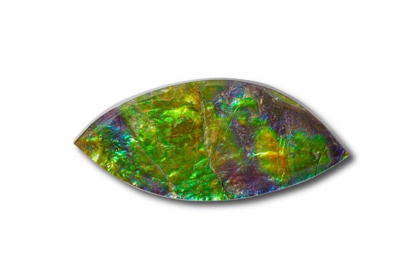 Canadian Ammolite Gemstone 510363