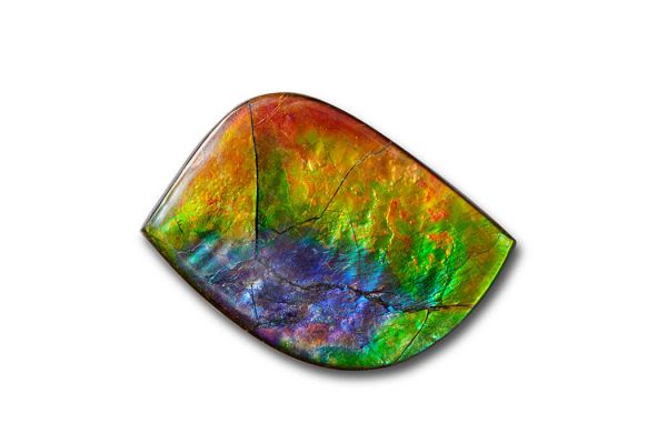 Canadian Ammolite Gemstone 510387