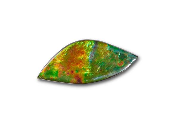 Canadian Ammolite Gemstone 510424
