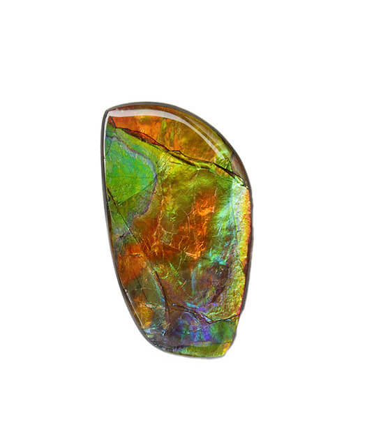 Canadian Ammolite Gemstone 829771