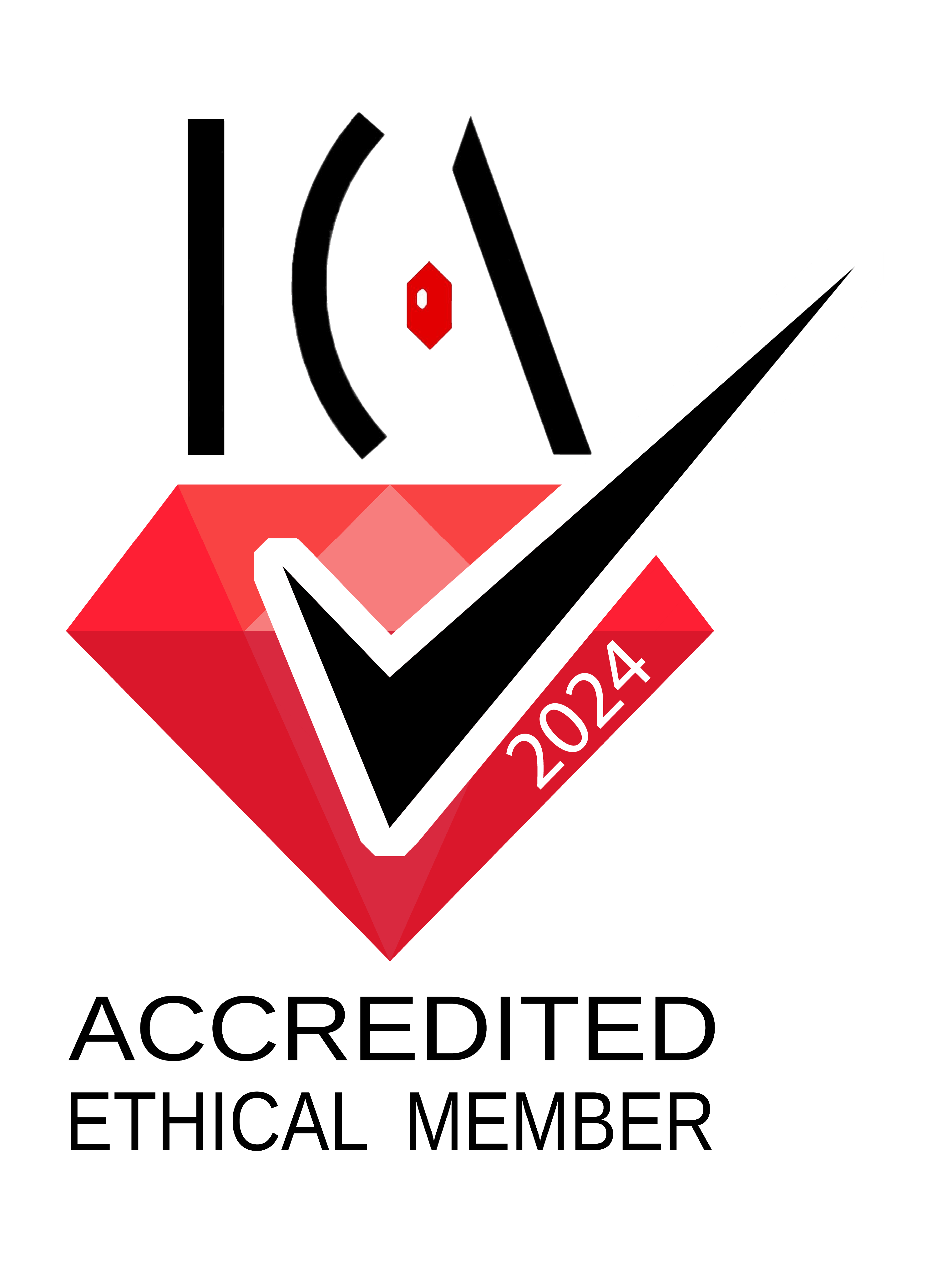 AEM 2024 Logo
