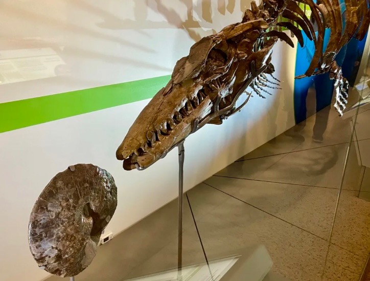 Smithsonian
