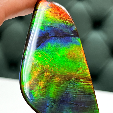 Canadian ammolite gemstons